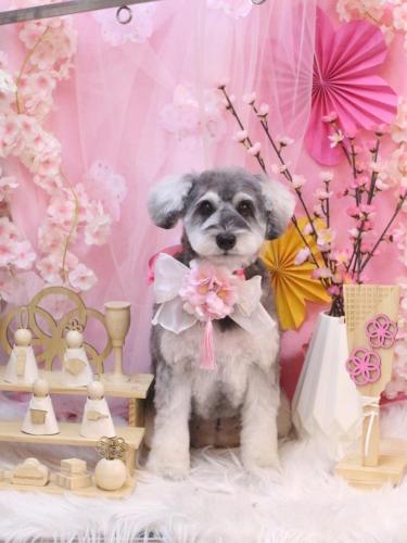 20250326蘭ちゃん